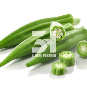 Vietnamese Frozen Okra Organic High Quality Good Price