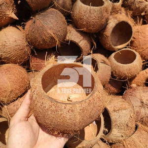 Vietnamese Products Coconut Shell Raw In Bulk With Cheap Price And Ready To Ship