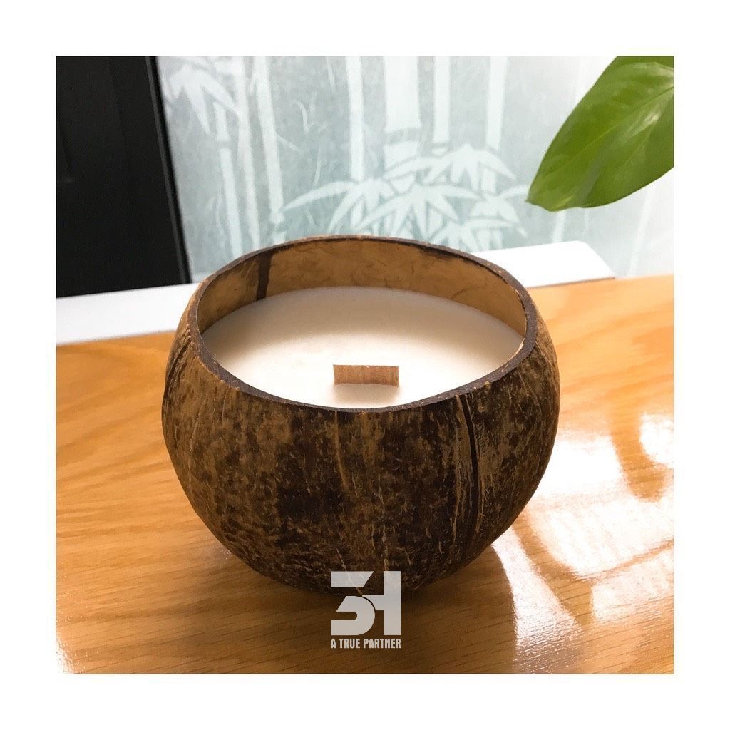 Wholesale Coconut Candle Best Seller From Viet Nam Coconut Shell Candle  Soy Coconut Wax