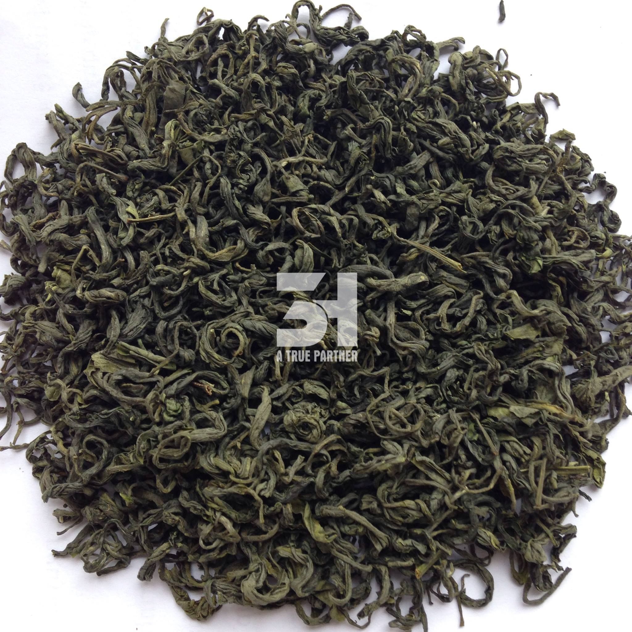 Healthy Organic Cheap Dried Green Tea Leaves in Bulk from Vietnam (Ms. Nancy - +84981859069)