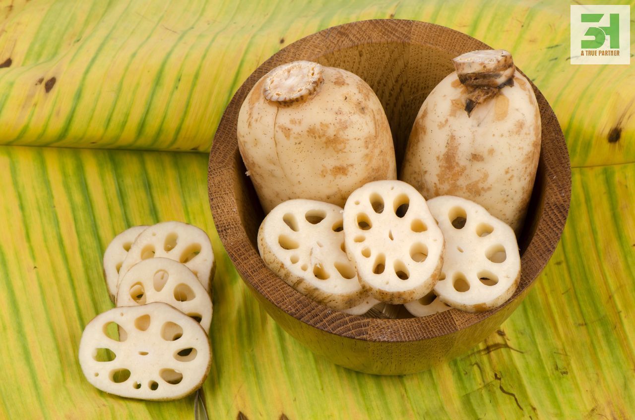 Wholesale Vietnam Organic Lotus Root In Stock Ready To Ship From 3H VietNam ( Ms.Nancy +84 981 859 069)