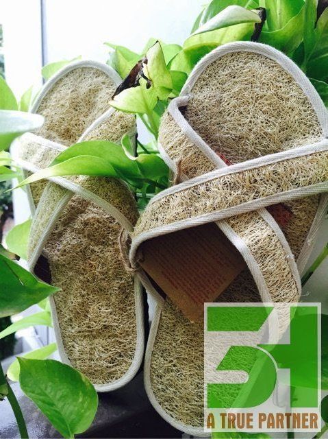 Vietnam Natural Loofah Slippers Ready to Ship with Best Price (Ms. Nancy - +84981859069)