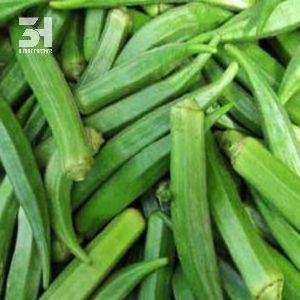 Top Grade Frozen Okra From Vietnam Fresh Vegetables