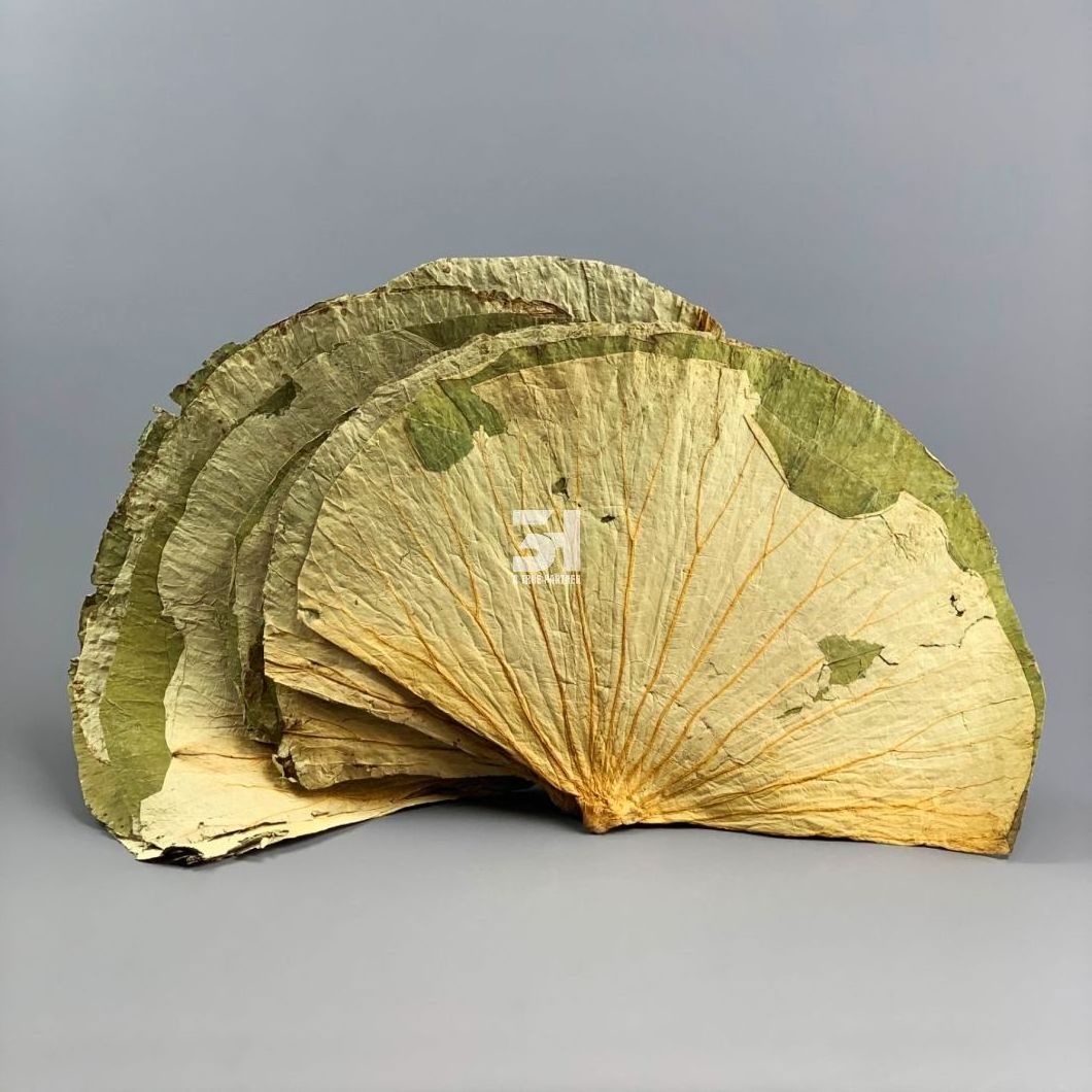 Vietnam Dried Lotus Leaves in Bulk Ready to Ship with Good Price (Ms. Nancy - +84981859069)