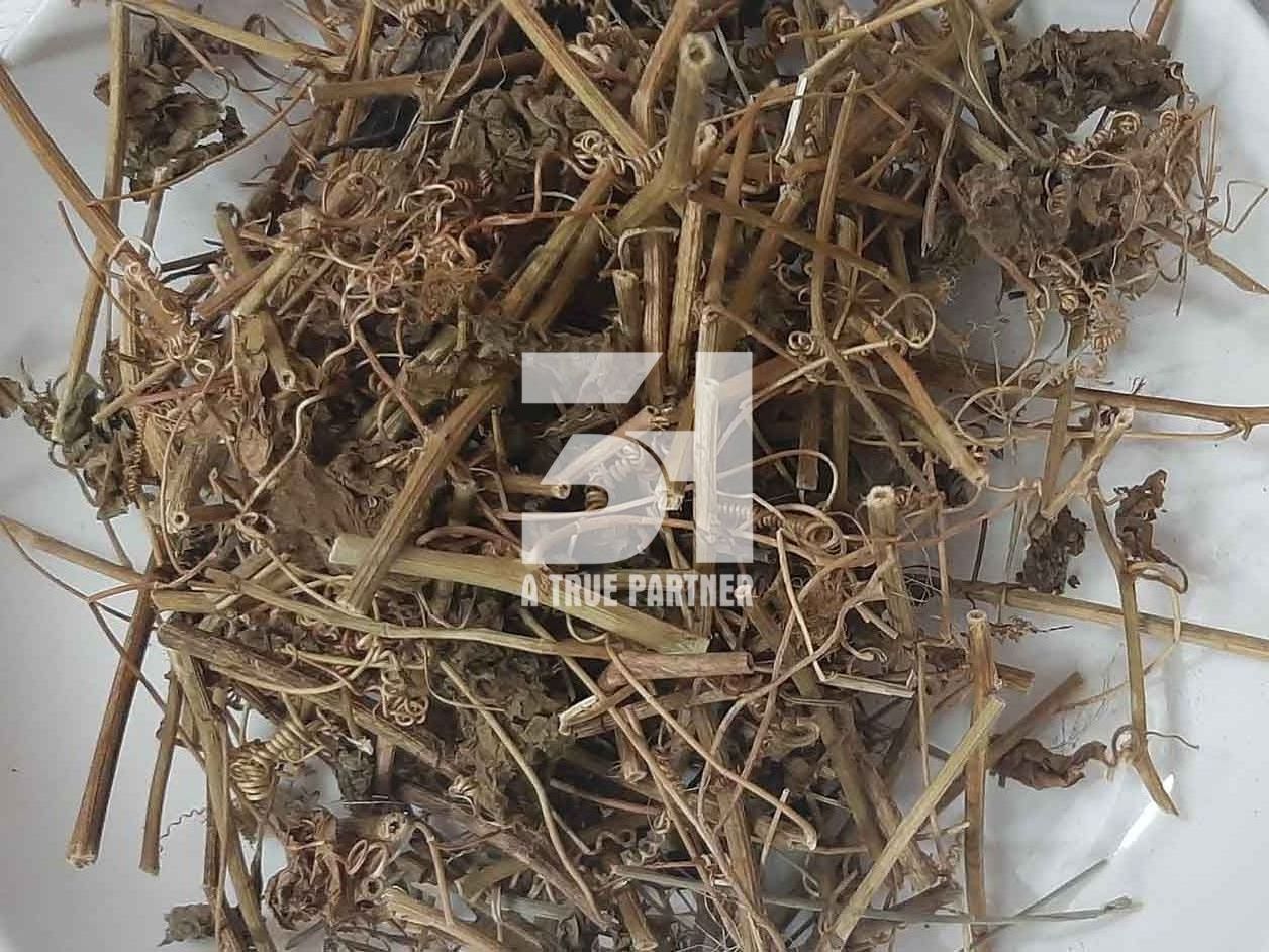 Natural Organic Dried Passionflower Tea from Vietnam with Best Price (Ms. Nancy - +84981859069)