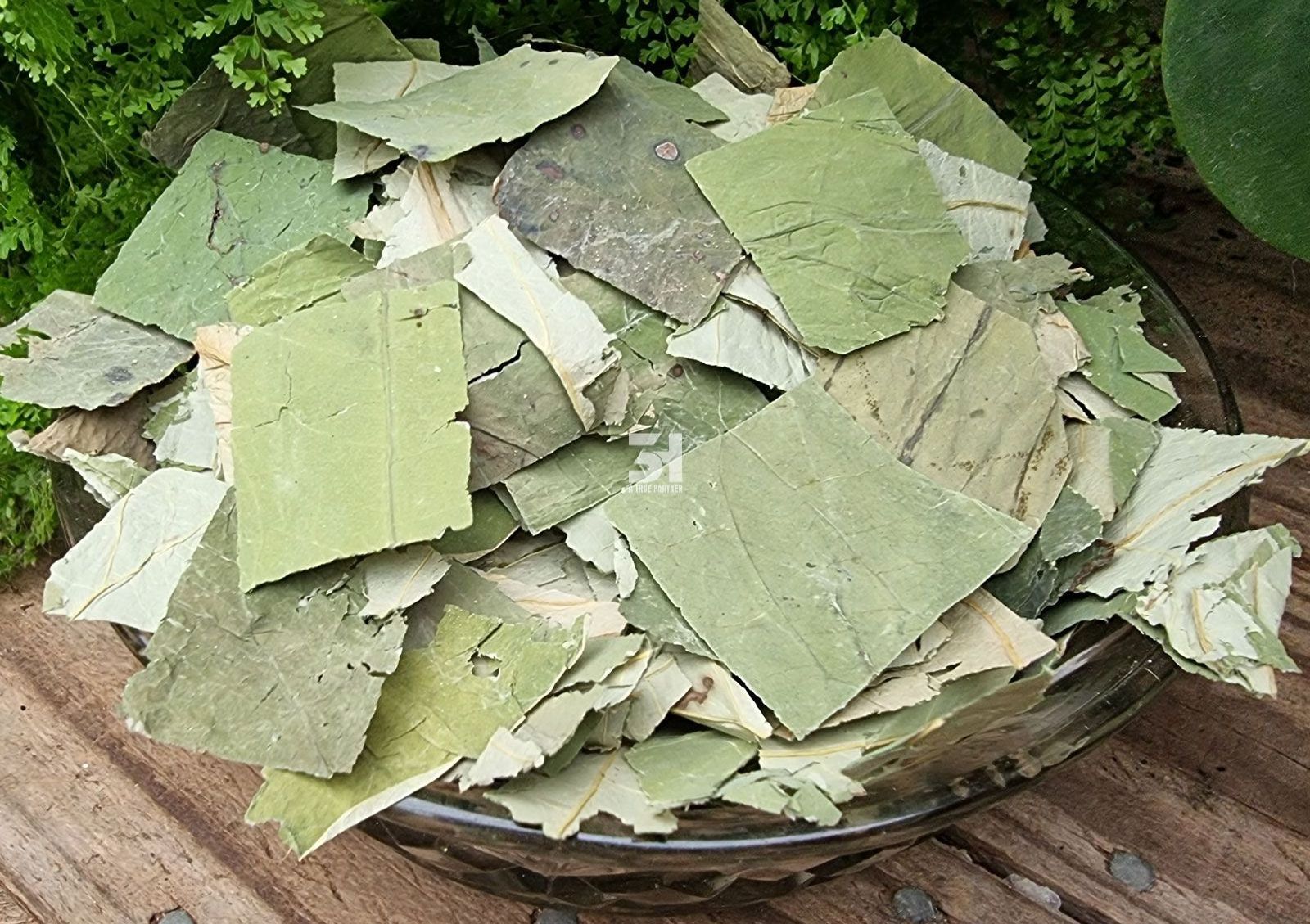 Wholesale Competitive Price Dried Lotus Leaves in Bulk from Vietnam (Ms. Nancy - +84981859069)