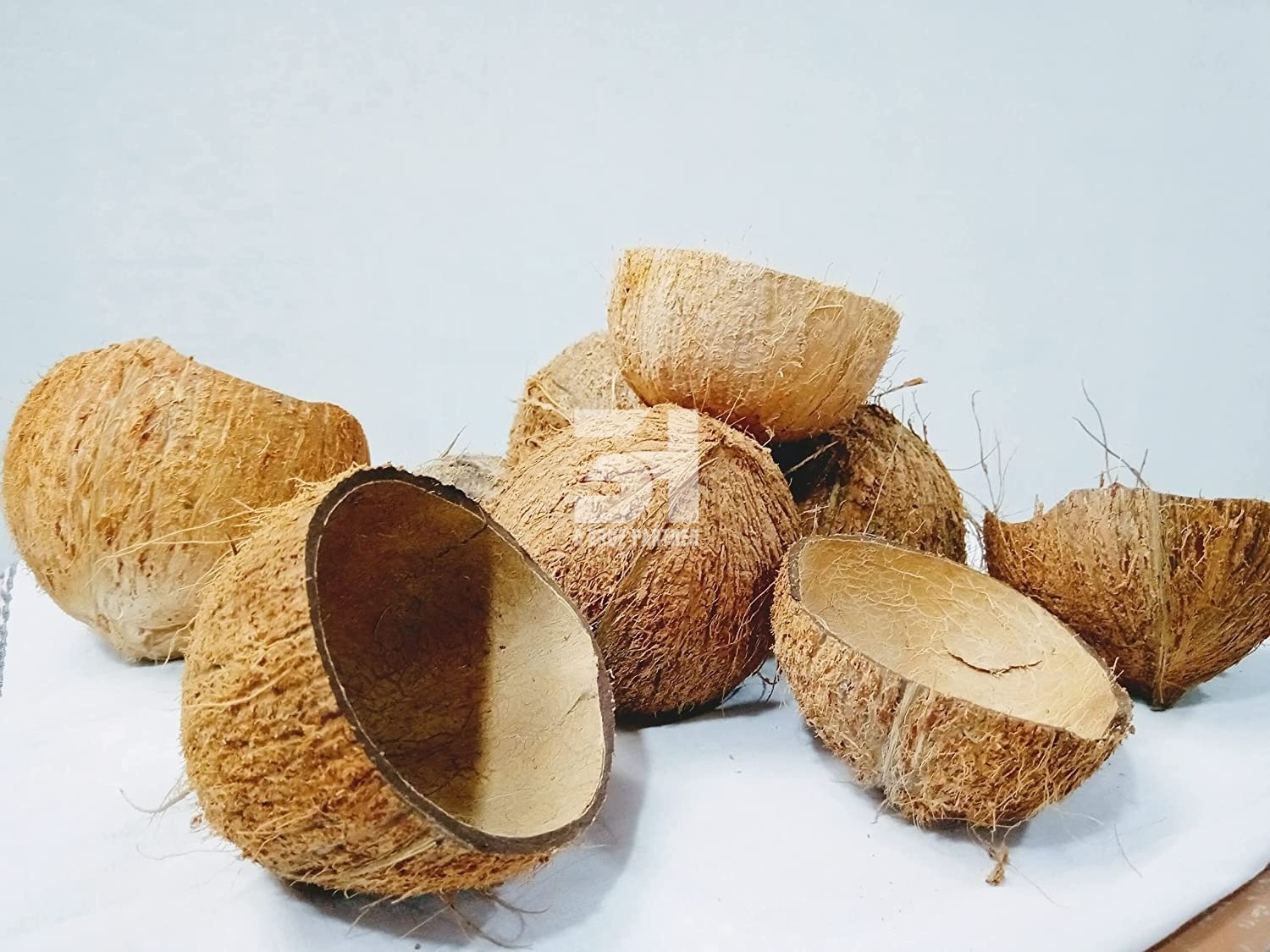 Vietnamese Products Coconut Shell Raw In Bulk With Cheap Price And Ready To Ship