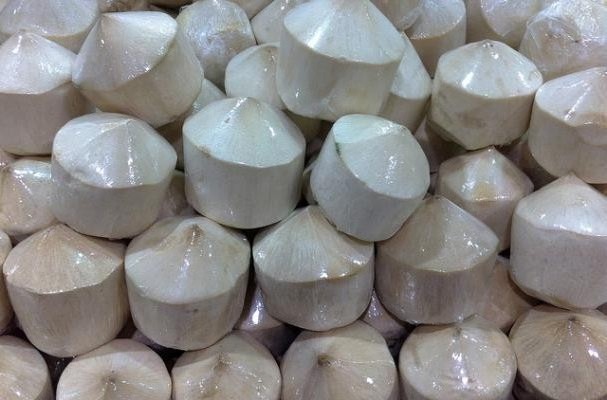 Exporter Frozen Tropical fruit/ Diamond Cut Coconut From Vietnam supplier tropical food/ coconut diamond shape