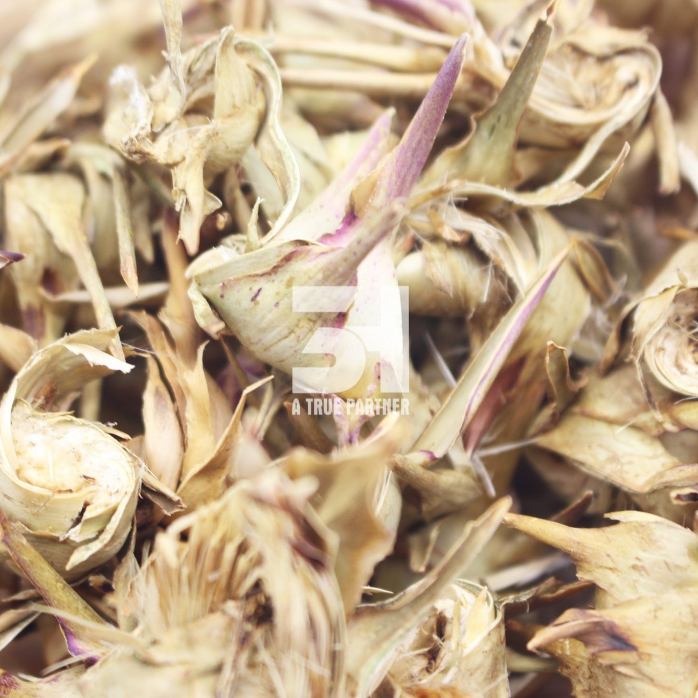 Vietnam Organic Dried Artichoke Flower with Best Price (Ms. Nancy - +84981859069)