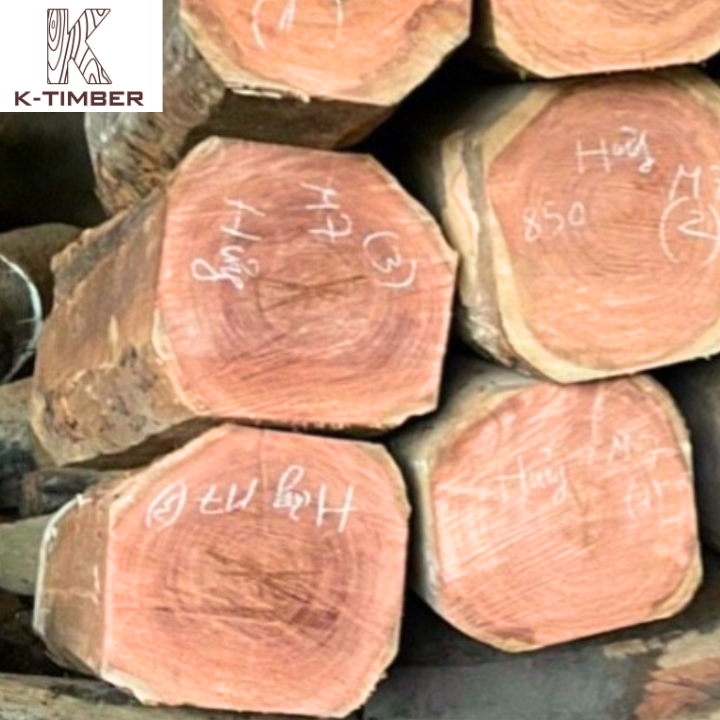 Natural wood logs wood raw materials african oak wood Mussivi Kiaat Sawlogs/ Round Logs wholesale Angola construction flooring