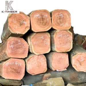 Natural wood logs wood raw materials african oak wood Mussivi Kiaat Sawlogs/ Round Logs wholesale Angola construction flooring