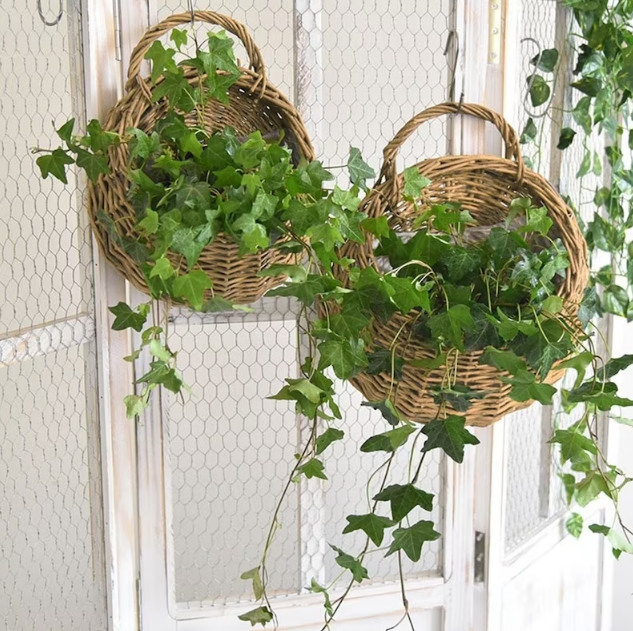 Wholesales Rattan Woven Vertical Garden Boho Home Ornaments Decorations for Living Room Made in Vietnam