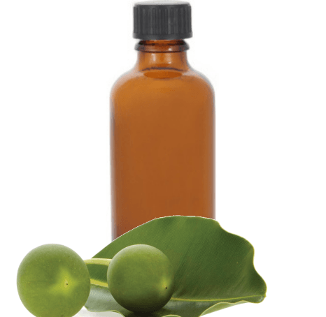 Virgin 100% Tamanu Oil, Cold Pressed Unrefined Tamanu Oil For Skin Manufacturer