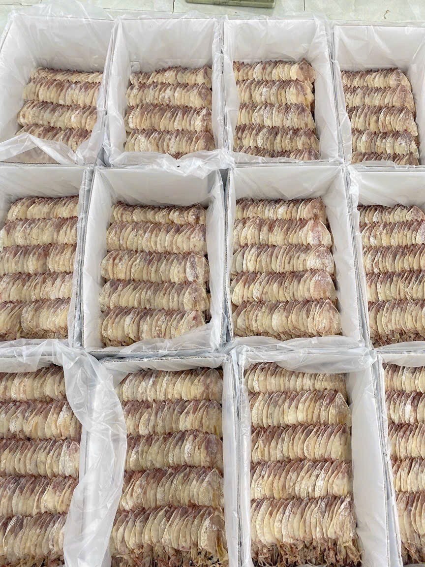 Seafood supplier from Vietnam Dried Sea squid 100% natural