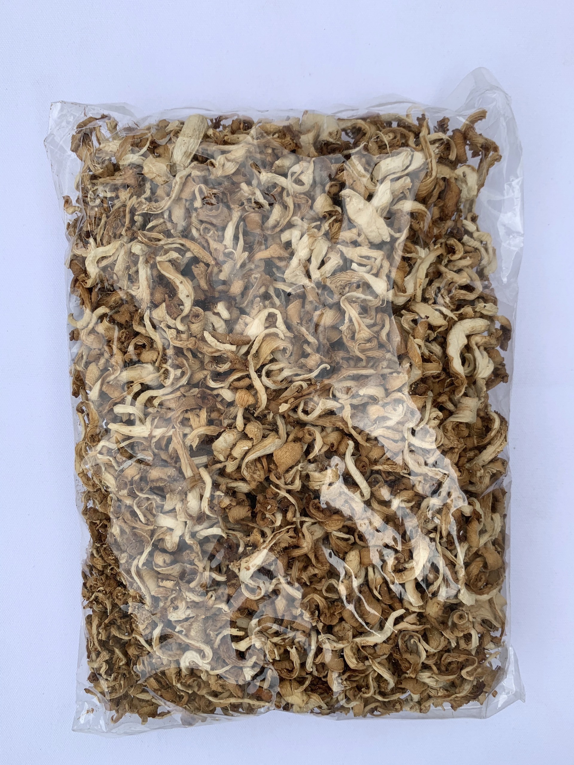 Best price dried oyster mushroom/abalone mushrooms for wholesale