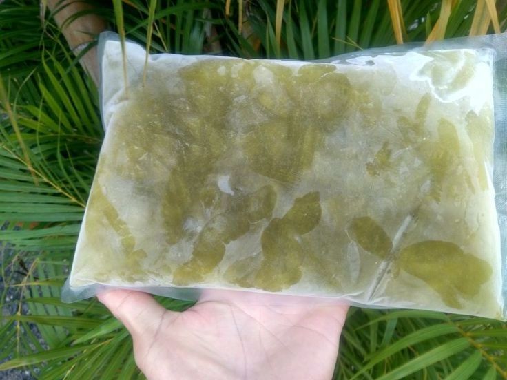 FROZEN SUGAR CANE JUICE WITH IQF PROCESSING FROM VIETNAM