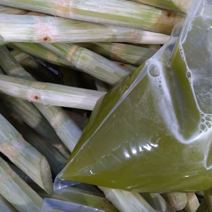 FROZEN SUGAR CANE JUICE WITH IQF PROCESSING FROM VIETNAM