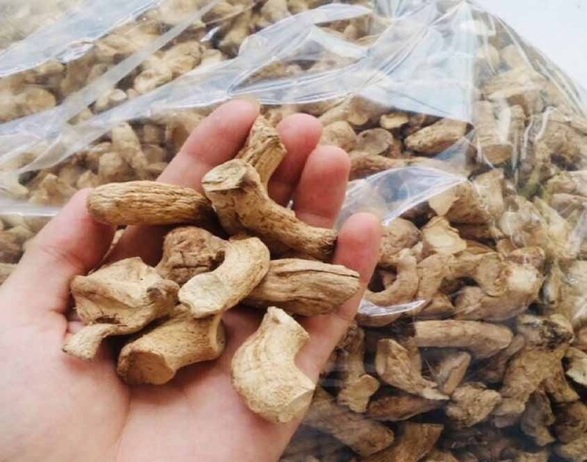 Exporting top quality dried stem shiitake mushroom from Vietnam bulk export