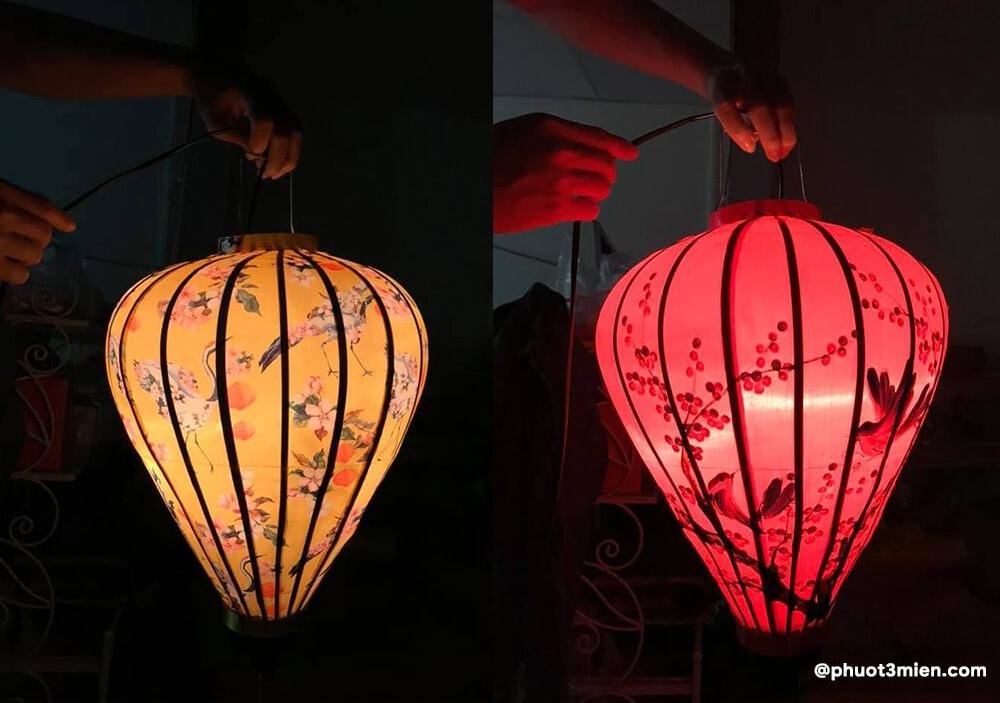 Dazzling LED Lanterns for Magical Lighting Displays