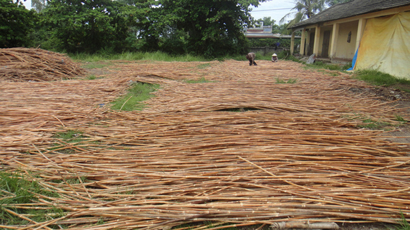 Natural rattan pole Rattan material cane RATTAN FURNITURE competitive price