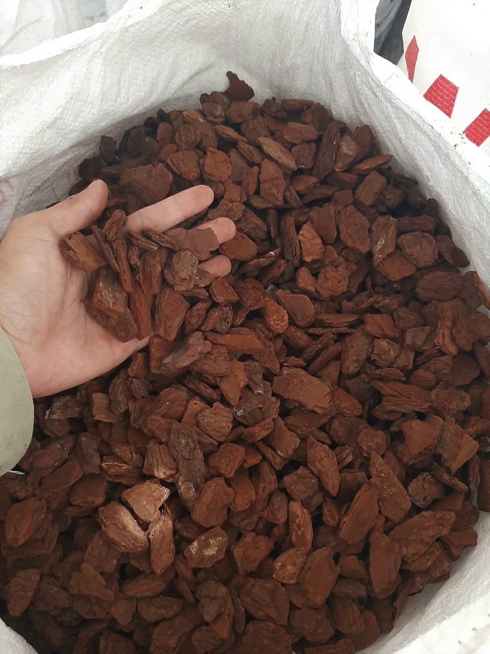 High Quality Customized Pine Bark Mulch Natural Hedge Organic Dried Pine Bark Chunks Pine Bark Chips Selling In Bulk With Cheap