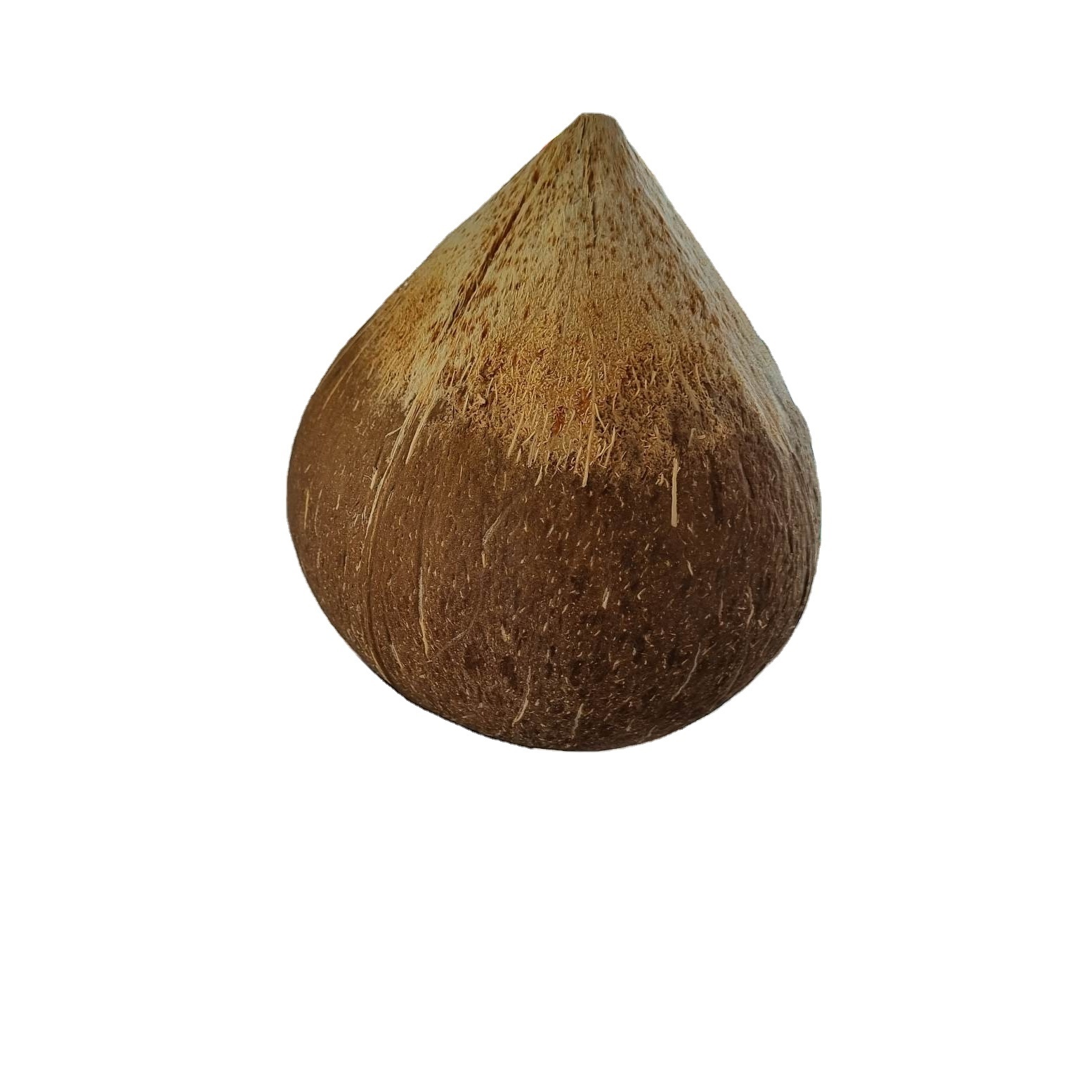 Vietnam semi huck dried coconut mature coconut fully husk coconut cheap price Akina