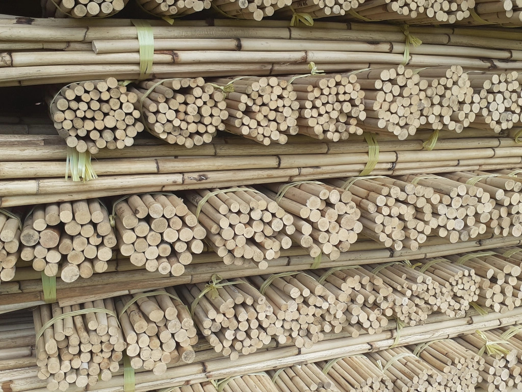 The processing of rattan manau cane poles with good price