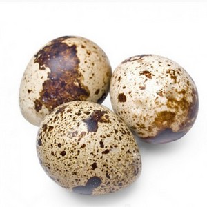 High export Good price frozen quail egg - boiled quail eggs Ms Sophie