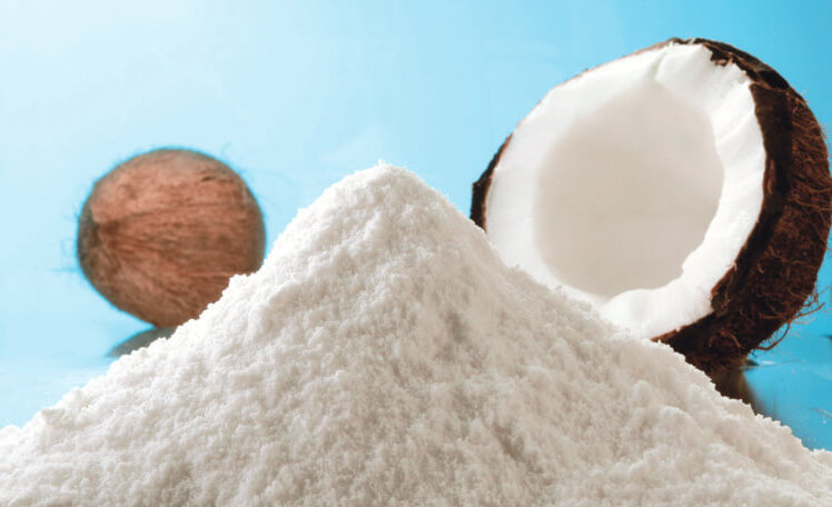 Wholesale Supplier Good Flavor 100% Natural Low Fat Bulk Dried Coconut Milk Powder