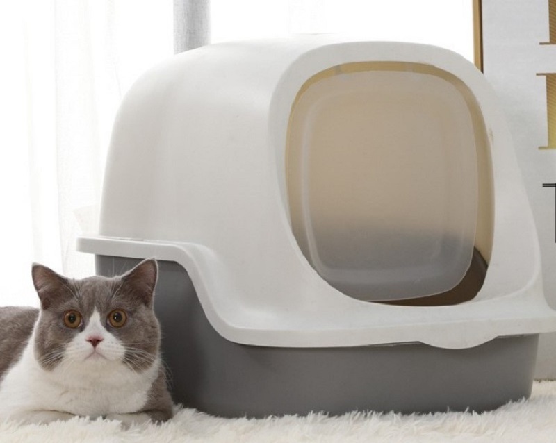 Hot Selling Plastic Cat Litter Box Semi Automatic Pet Cat Toilet Cat Training Toilet Kitten Toilet Boxes Akina