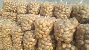 affordable price and high quality fresh potato best seller fresh potato with hot price