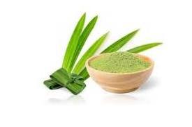 Organic Products organic pandan leaves Powder from Vietnam