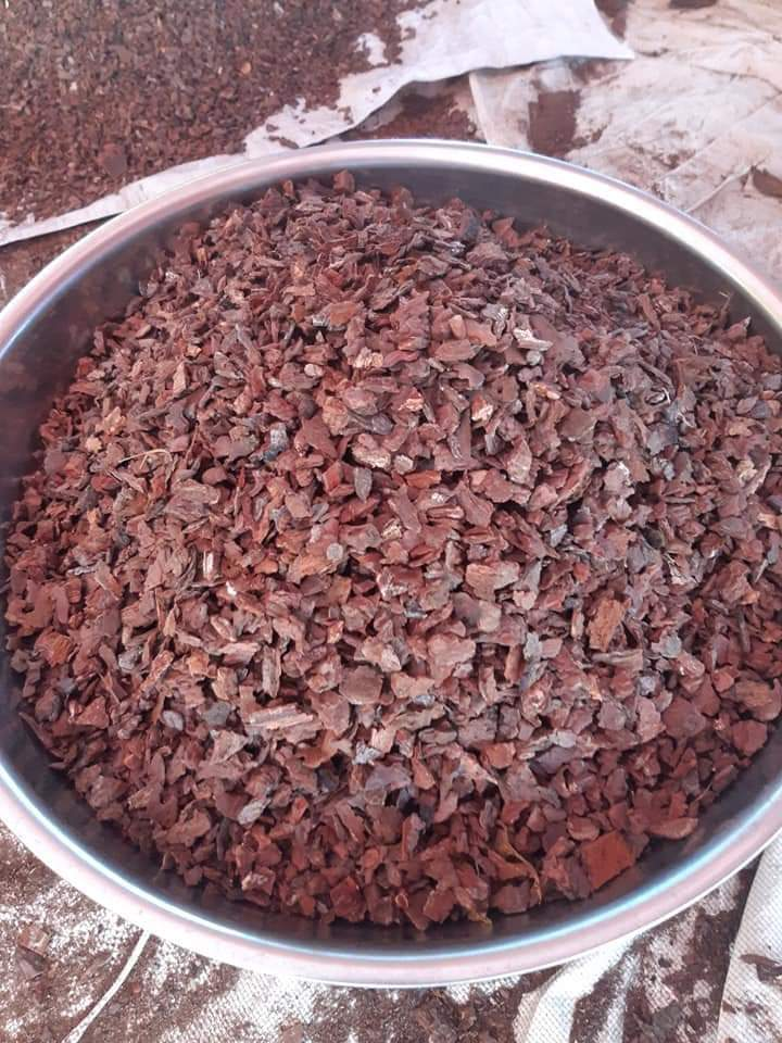 Premium Wholesale Price Pine Wood Bark Chip Mulch Retain Moisture For Orchid Planting Dried Chunky Pine Bark Nuggets Covering On