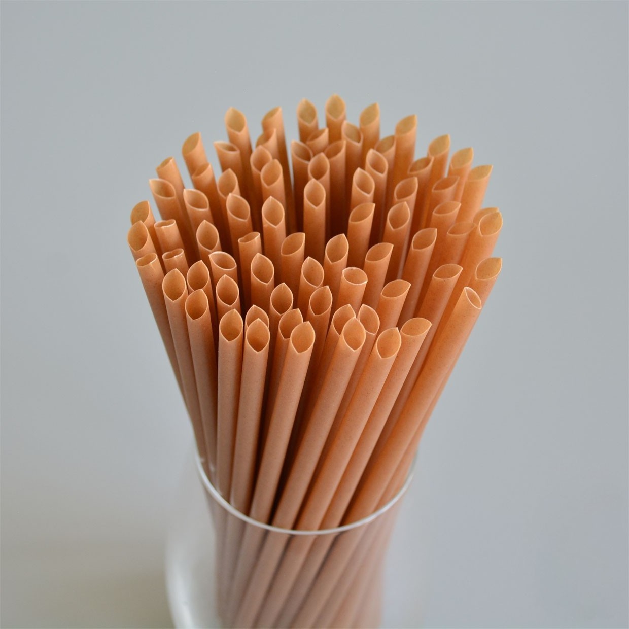 Factory Supplier Eco Friendly Straws Biodegradable Drinking Straws Sugar Cane Bagasse - Bella