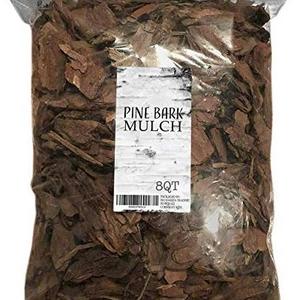 5L Bag Red Organic Orchids Polished Wild Pine Wood Tree Bark Chips Mulch Ferment Raw Barks Nuggets for Planted Landscaping ANGLE