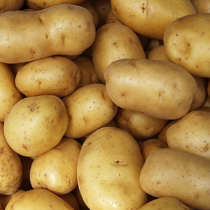 affordable price and high quality fresh potato best seller fresh potato with hot price