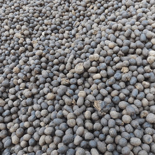 bat droppings granular 2~4mm high phosphorous fertilizer bat droppings high phosphorous fertilizer