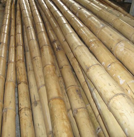 Wholesale Drying bamboo sticks bamboo poles for fence making decoration Anna