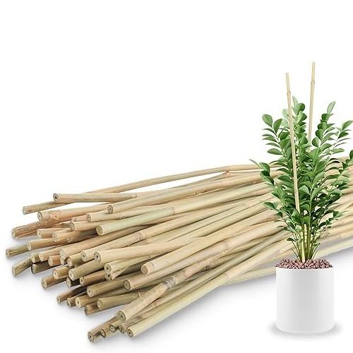 Manufactured in Vietnam raw material big size bamboo pole 3m for garden decoration construction