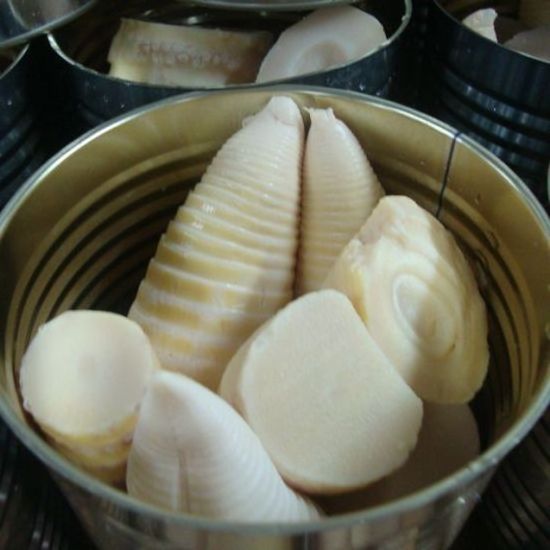 Premium Canned Fresh Bamboo Shoots Whole in Brine - Taste Asian Dishes From Vietnam Supplier