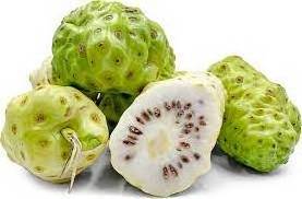 Frozen Dried Noni from fresh noni Brown to Dark Brown Strengthens the natural resistance  Stimulates the activity of muscle