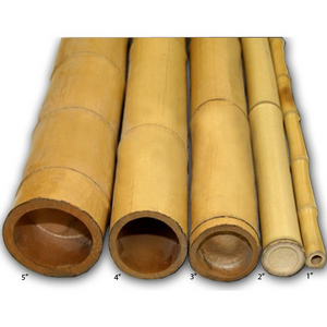 Wholesale Drying bamboo sticks bamboo poles for fence making decoration Anna