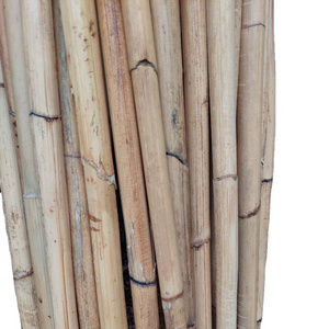 Natural rattan poles Raw rattan manau cane for making furnitures and handicrafts