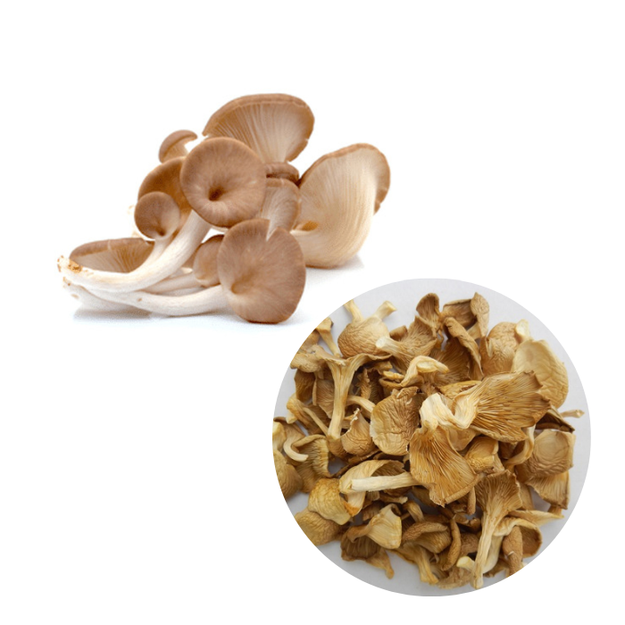 Best price dried oyster mushroom/abalone mushrooms for wholesale