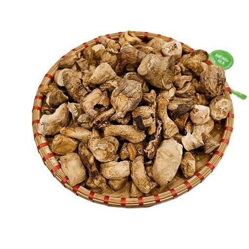 THE BEST SELLER DRIED STEM SHIITAKE MUSHROOM IN BULK WITH GOOD PRICE AND HIGH QUALITY