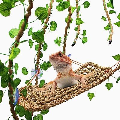 Best seller Natural Lizard Lounger Climbing and Resting Mats made of seagrass suitable for repltile pet