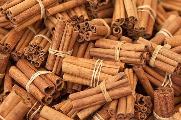 New crop 2023 rolled cassia stick selling in bulk Top product natural cinnamon from Vietnam High quality cinnamon sticks selling