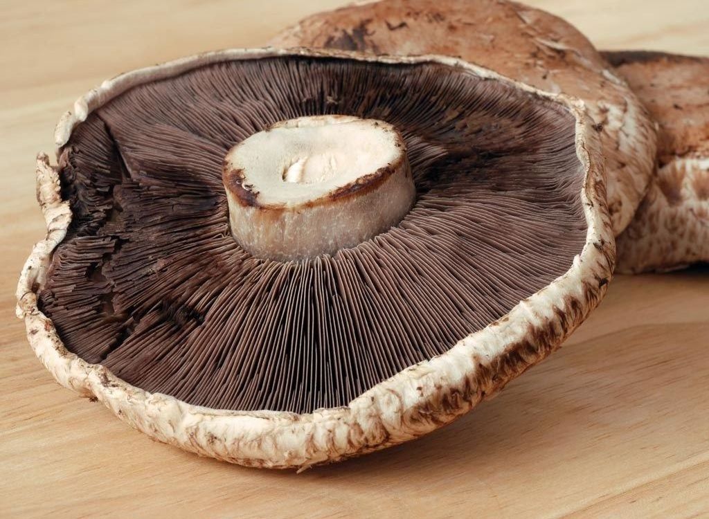 HIGH QUALITY MUSHROOM FROM VIETNAM DELICIOUS NATURAL COLOR