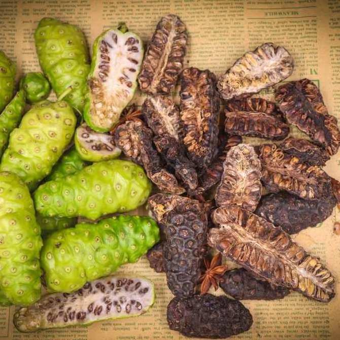 Wholesale Price Dried Noni Fruit with Top Quality Holiday