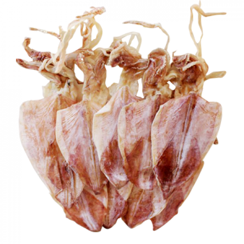 hot deal dried squid from Vietnam premium export dried squid